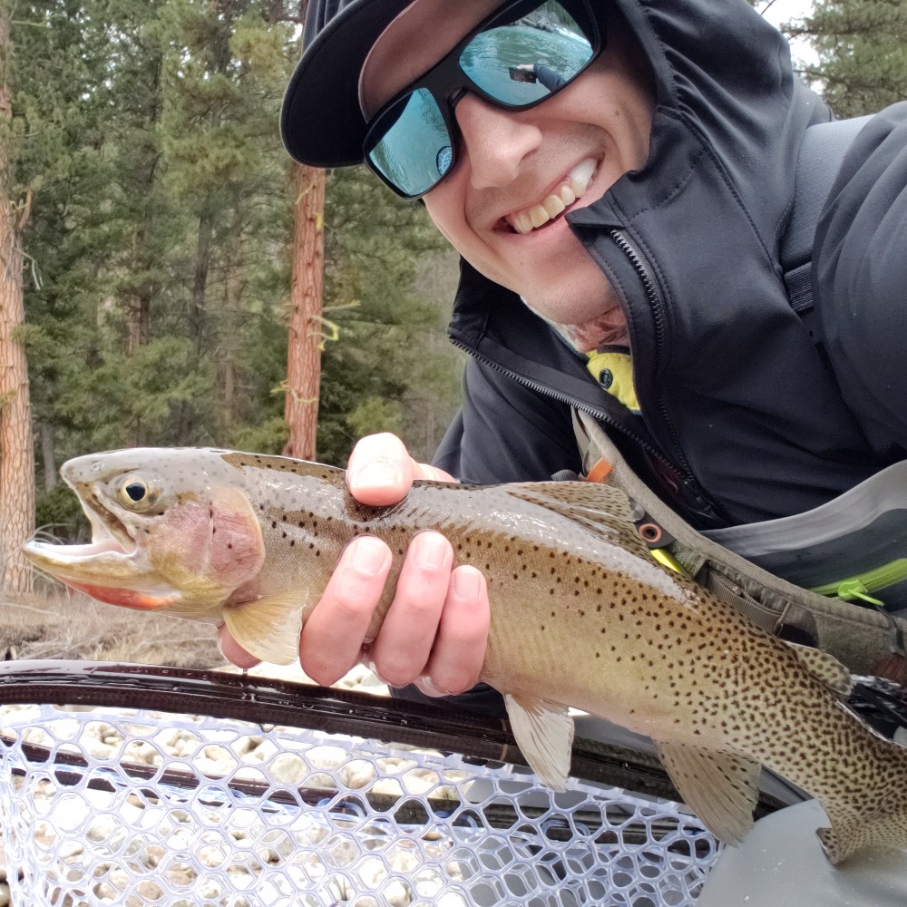 Meet your Posher, David